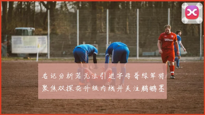 名记分析若无法引进字母哥绿军将聚焦双探花升级内线并关注鹈鹕墨菲